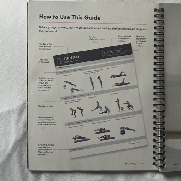 6 week Body Toning Weights Program - Picture 3 of 7